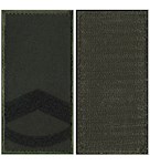 Погон НГУ штаб-сержант (прапорщик) (чорна нитка, кант зелений, на липучці)