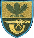 Шеврон 61 окрема піхотна єгерська бригада (кольоровий)