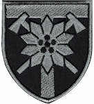 Шеврон 128 окрема гірсько-штурмова бригада