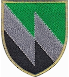 Шеврон 8 окремий полк зв'язку (кольоровий)