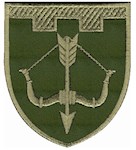 Шеврон 118 окрема бригада ТрО (Черкаська область)