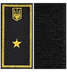 Погон Інспектор митної служби 4 рангу (нитка жовта, на липучці)