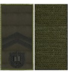 Погон НГУ курсант-молодший сержант (чорна нитка, кант зелений, на липучці)