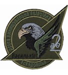 Шеврон 2 винищувальна авіаційна ескадрилья Васильків