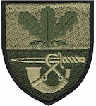 Шеврон 61 окрема піхотна єгерська бригада