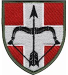 Шеврон 39 зенітний ракетний полк (кольоровий)