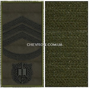 Погон НГУ курсант-cтарший сержант (чорна нитка, кант зелений, на липучці)
