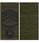 Погон НГУ курсант-cтарший сержант (чорна нитка, кант зелений, на липучці)