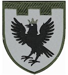 Шеврон 102 окрема бригада ТрО (Івано-Франківська область)