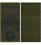 Погон НГУ курсант-сержант (чорна нитка, кант зелений, на липучці)