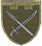 Шеврон 109 окрема бригада ТрО (Донецька область)