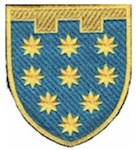 Шеврон 108 окрема бригада ТрО (Дніпропетровська область) (кольоровий)