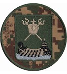 Шеврон 19 Миколаївський полк ОГП НГУ (зашите поле)