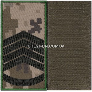 Погон ДПС головний сержант (з кантом, на липучці)