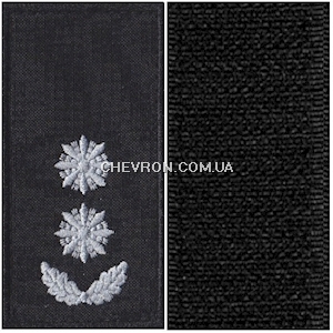 Погони Поліції охорони підполковник (на липучці)