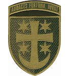 Шеврон 21 армійський корпус