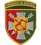 Шеврон 16 армійський корпус Progredere ne regredere (кольоровий)