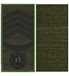 Погон НГУ курсант-головний сержант (чорна нитка, кант зелений, на липучці)