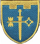 Шеврон 105 окрема бригада ТрО (Тернопільська область) (кольоровий)