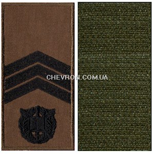Погон НГУ курсант-сержант (на липучці)