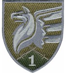Шеврон 81 ОАеБр 1 батальйон