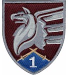 Шеврон 81 ОАеБр 1 батальйон