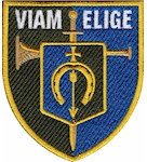 Шеврон 154 ОМБр Viam elige (кольоровий)