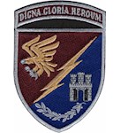 Шеврон 13 батальйон 95 ОДШБр