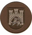 Шеврон НГУ Львів