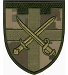 Шеврон 3 батальйон 115 ОБ ТрО Звягель