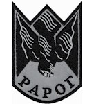Шеврон 427 ОБрБС "Рарог"