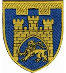 Шеврон 125 окрема бригада ТрО (Львівська область) (кольоровий)