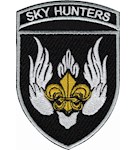 Шеврон 155 ОМБр Повітряна розвідка Sky Hunters