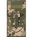 Шеврон-заглушка на липучці Сухопутні війська (зелена нитка, польовий прапорець)