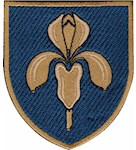 Шеврон 11 зенітно-ракетний полк (кольоровий)