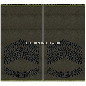 Погони ЗСУ майстер-сержант (старший прапорщик) (нитка чорна, муфта)