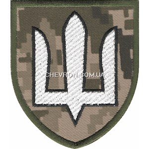 Шеврон Держспецзв'язку (тризуб)