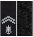 Погон ВМС старшина 2 статті (нитка сіра, на липучці)