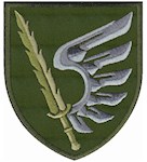 Шеврон 79 окрема десантно-штурмова бригада