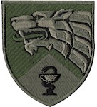 Шеврон ССО Медична служба