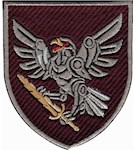 Шеврон 238 окремий батальйон безпілотних систем
