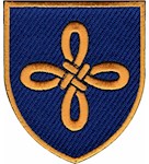 Шеврон 159 ОМБр (кольоровий)