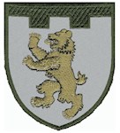 Шеврон 101 окрема бригада ТрО (Закарпатська область)