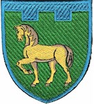 Shevron 111 otdel'naya brigada TrO (Luganskaya oblast') (tsvetnoy)