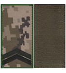 Погон ДПС молодший сержант (з кантом, на липучці)