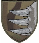 Шеврон 156 ОМБр