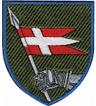 Шеврон 14 ОМБр (кольоровий)