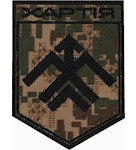 Шеврон 13 бригада НГУ "Хартія"