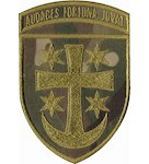Шеврон 21 армійський корпус