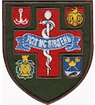 Шеврон УСІЗ МС Південь